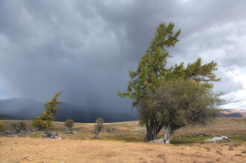 алтай, непогода, осень Непогодаphoto preview