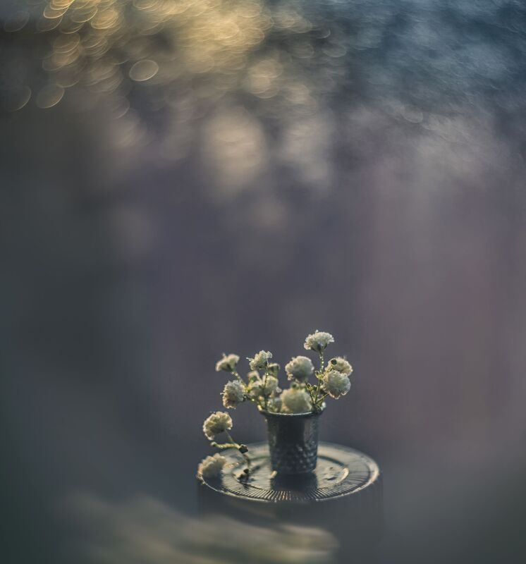 вечерphoto preview