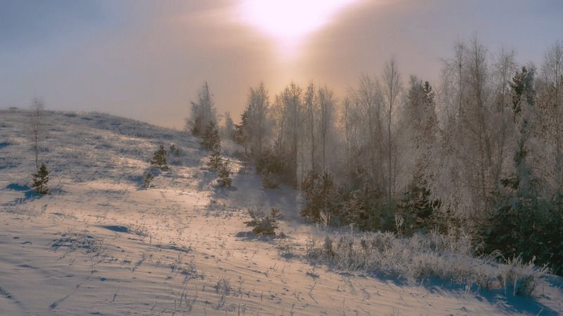 зимняя стужаphoto preview