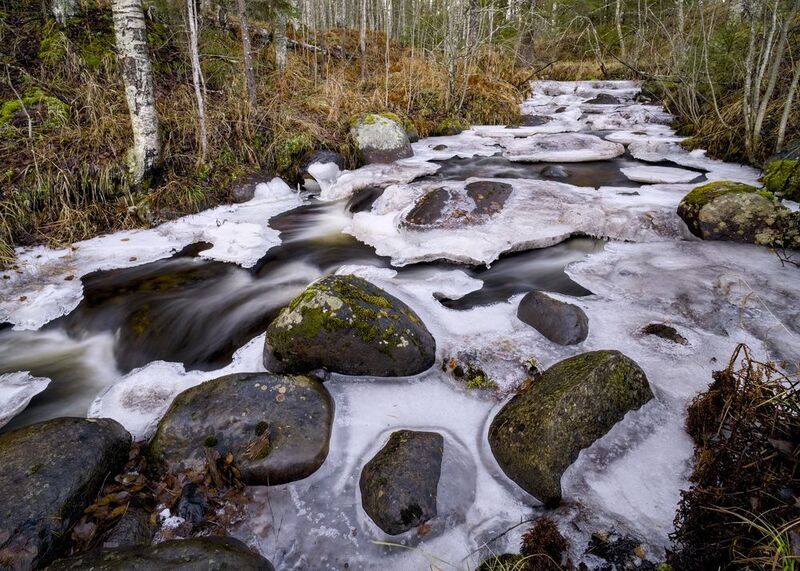 ручей зима оттепель поток ноябрь лес север карелия Оттепель. Ручей на свободе.photo preview