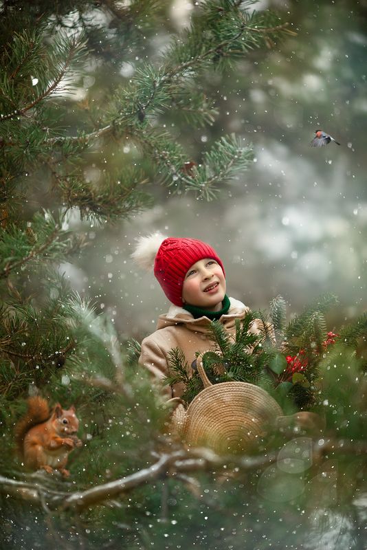 фото превью