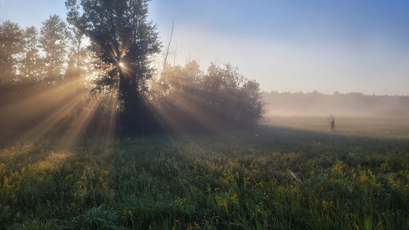 Летнее утроphoto preview