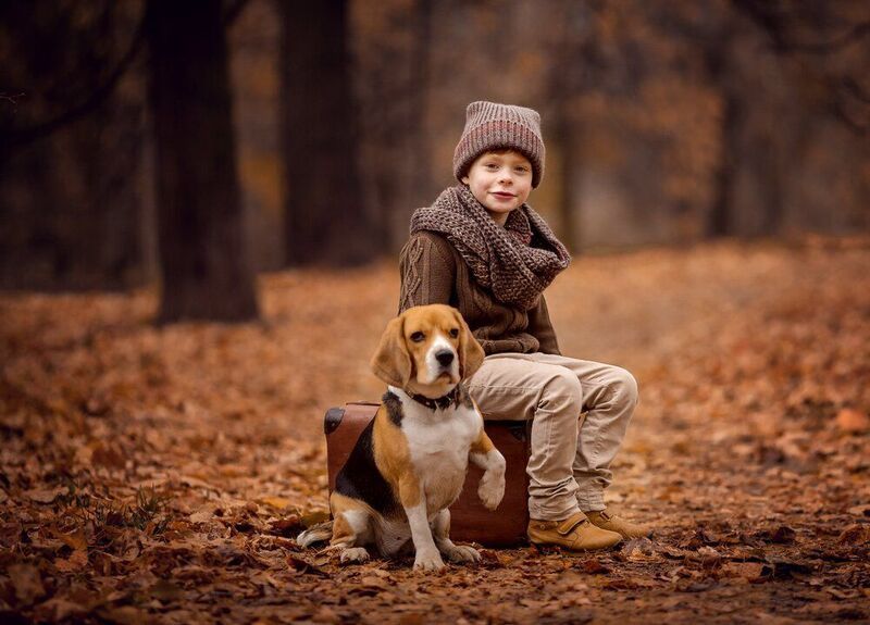 фото превью