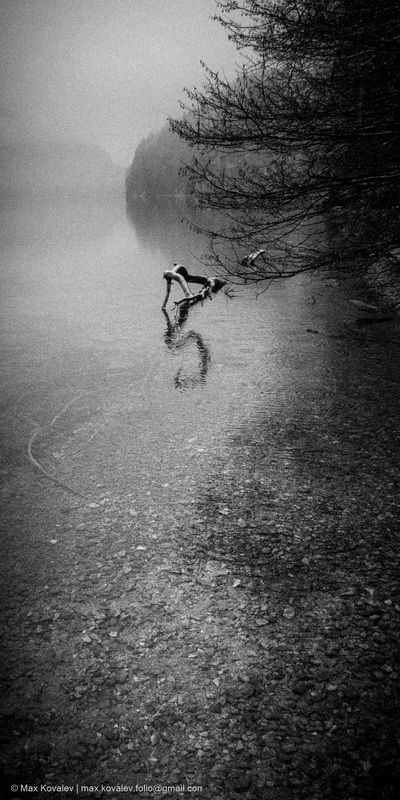 alpsee, europe, germany, fog, lake, mountain, nature, water, winter, альпзее, германия, европа, вода, гора, зима, озеро, природа, туман Зимнее озероphoto preview