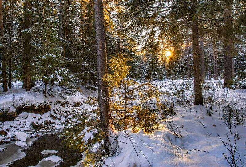 Вечерний светphoto preview