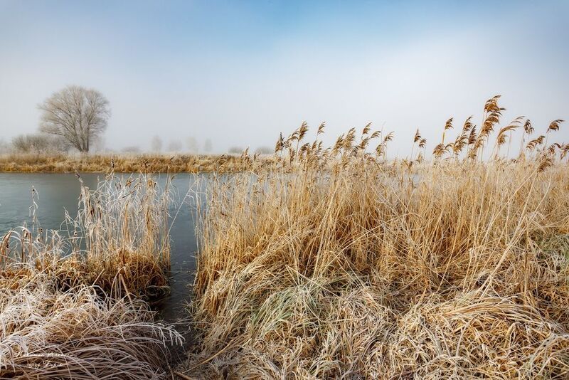 Ноябрьские заморозки фото превью