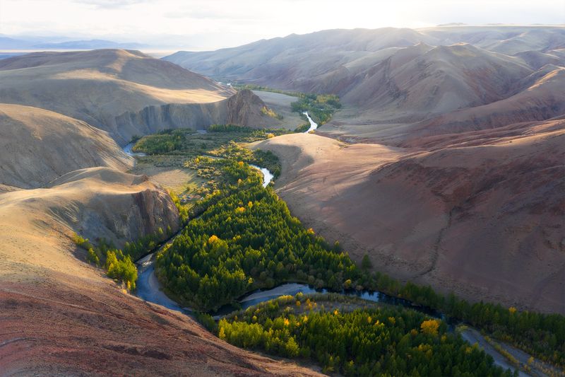 кокоря, алтай, республика алтай, горный алтай, река кызылшин, кызылшин, урочище кокоря, кош-агач, осень, марс Урочище Кокоря, Алтайphoto preview
