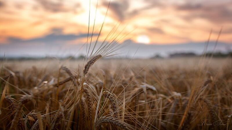 Костромской край.photo preview