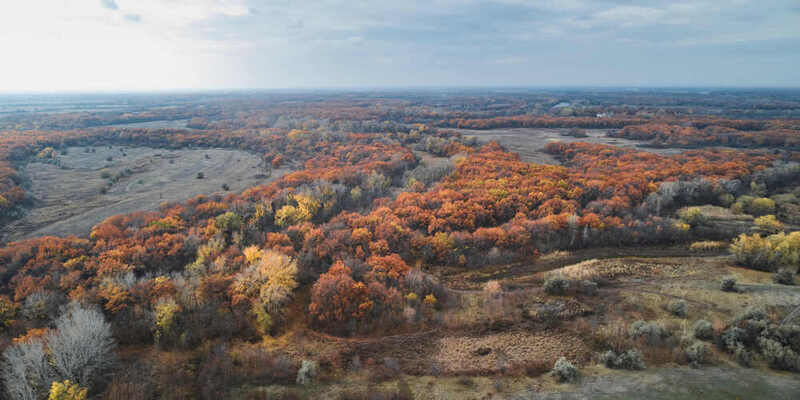 осень, dji, волгоград, волгоградская область,  Осеньphoto preview