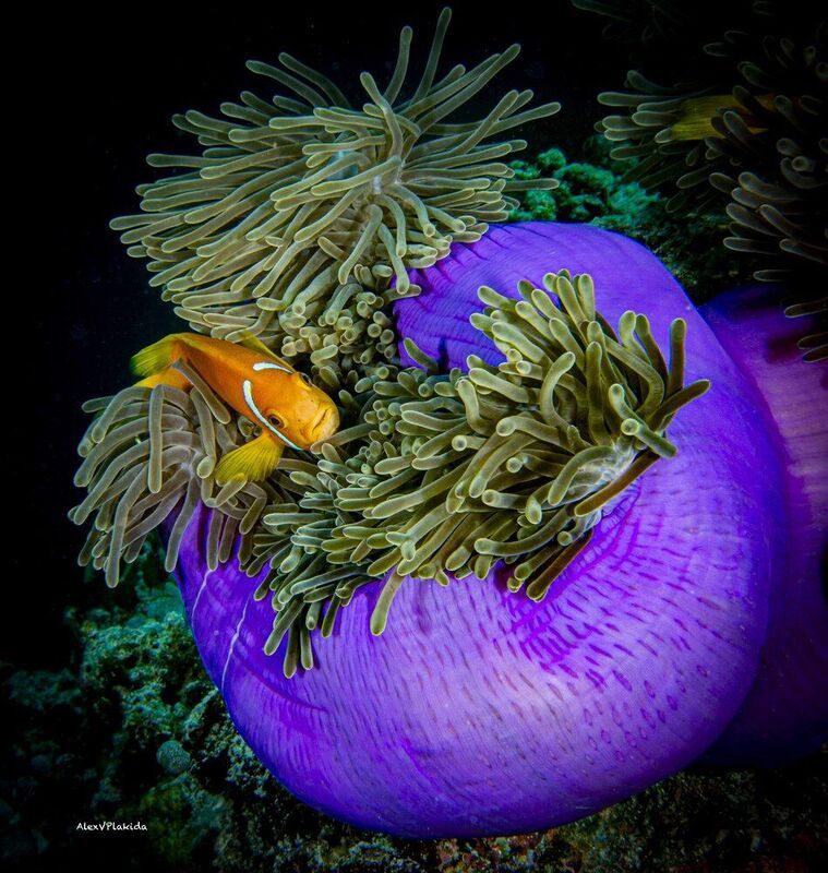 A safe and beautiful homephoto preview