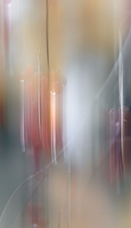 icm, калина Призракphoto preview