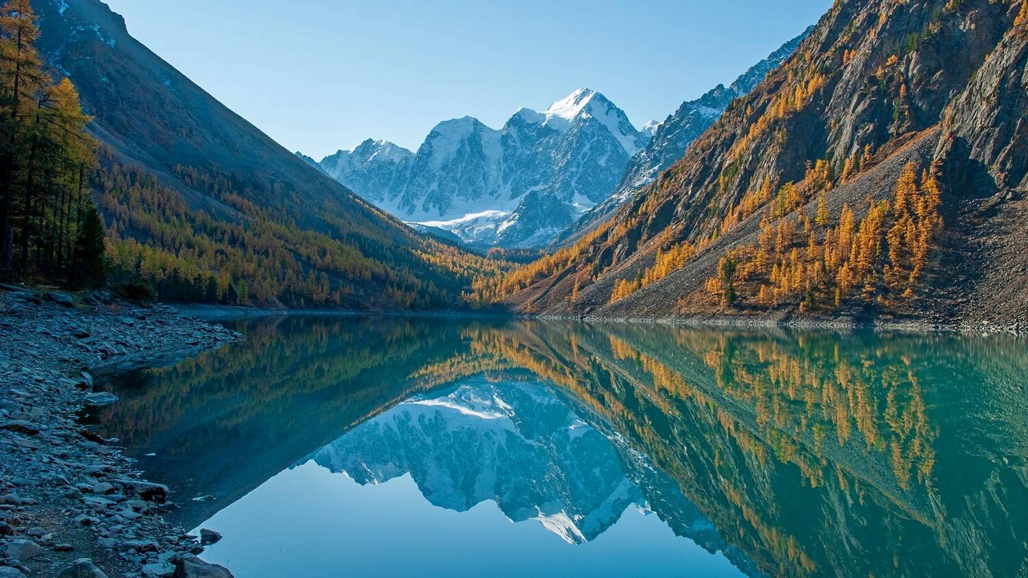 алтай, семёновское, озеро, мечта, красавица, сказка, осень, лиственницы, утро, Мальцев Юрий