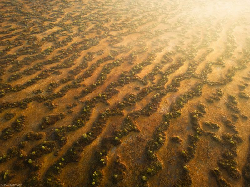 пейзаж, дрон, болото, рассвет, осень, узор Лабиринты болотphoto preview