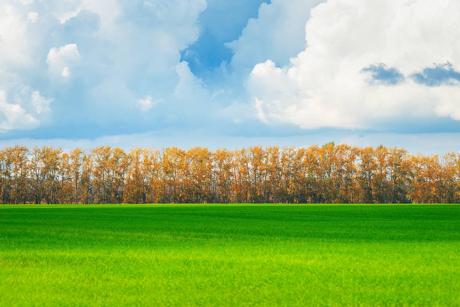 , Корнеев Алексей