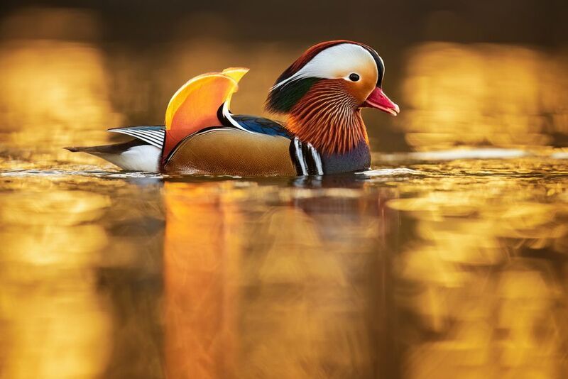 Light streaksphoto preview