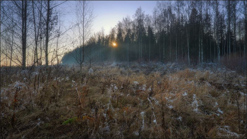 Осенний инейphoto preview