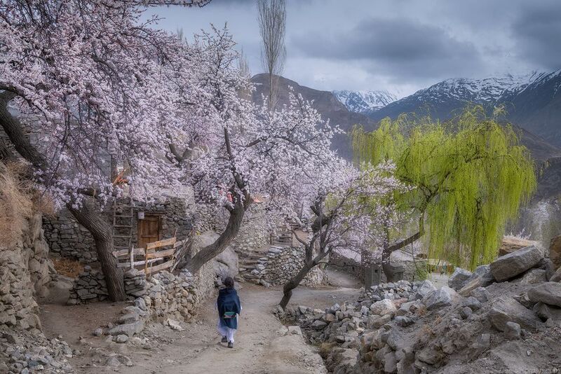 Pakistan streetsphoto preview