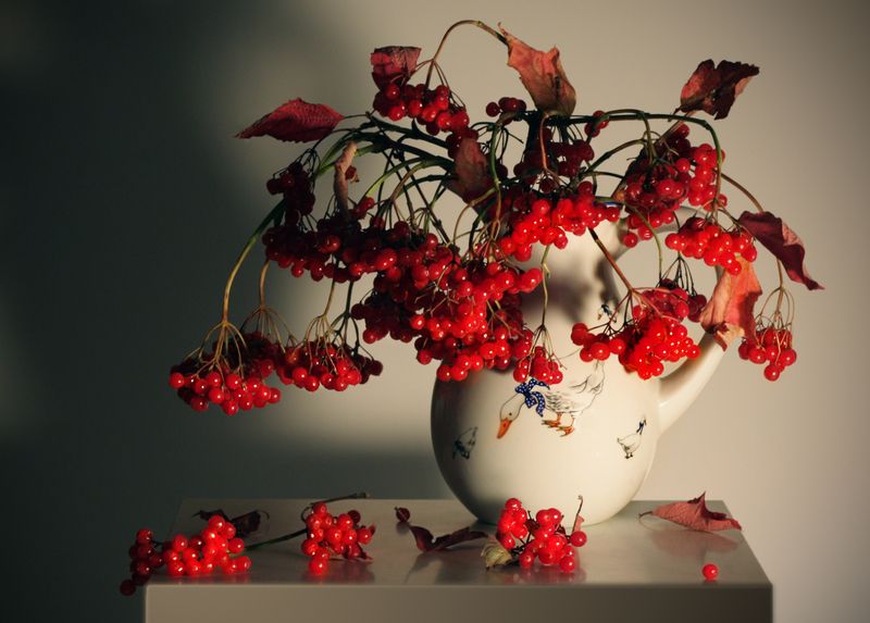 калина Калинушкаphoto preview