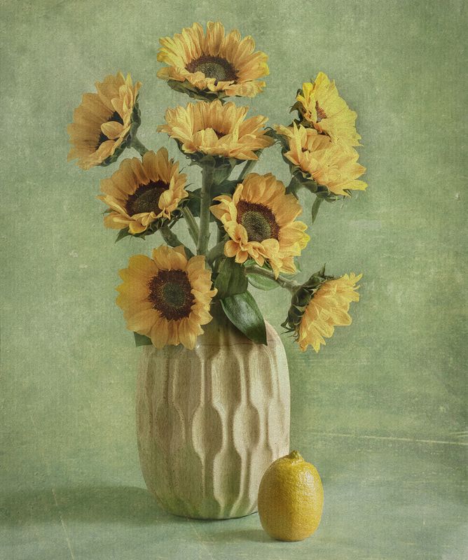 Sunflowersphoto preview