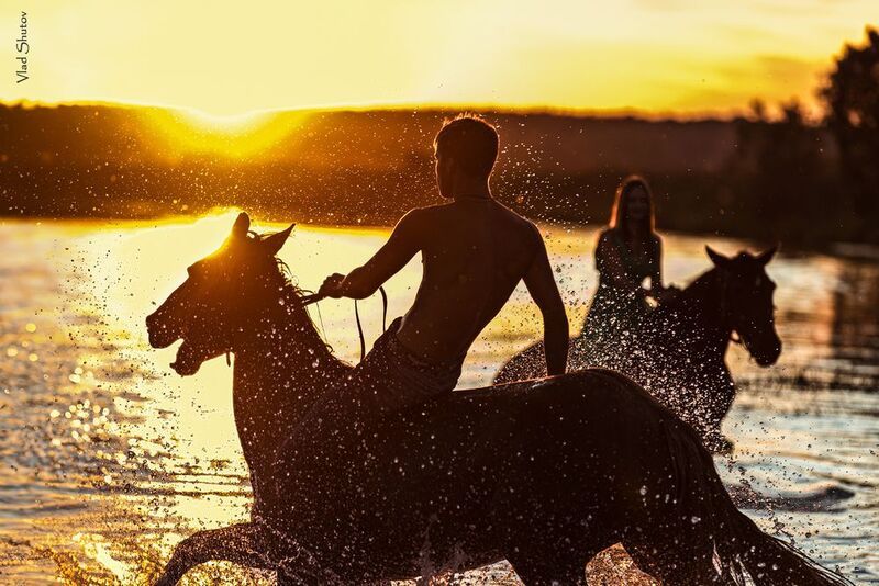 Купание не красного коняphoto preview