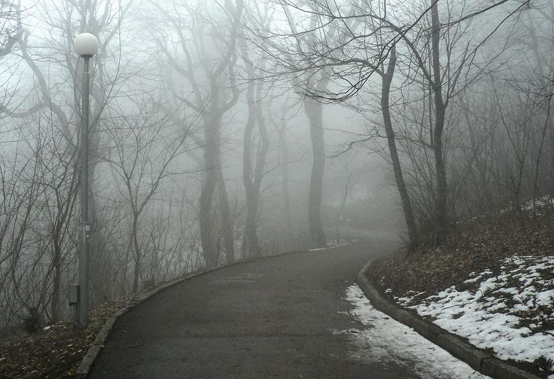 железноводск, туман, парк Туманностьphoto preview