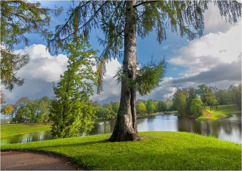 На рассветеphoto preview