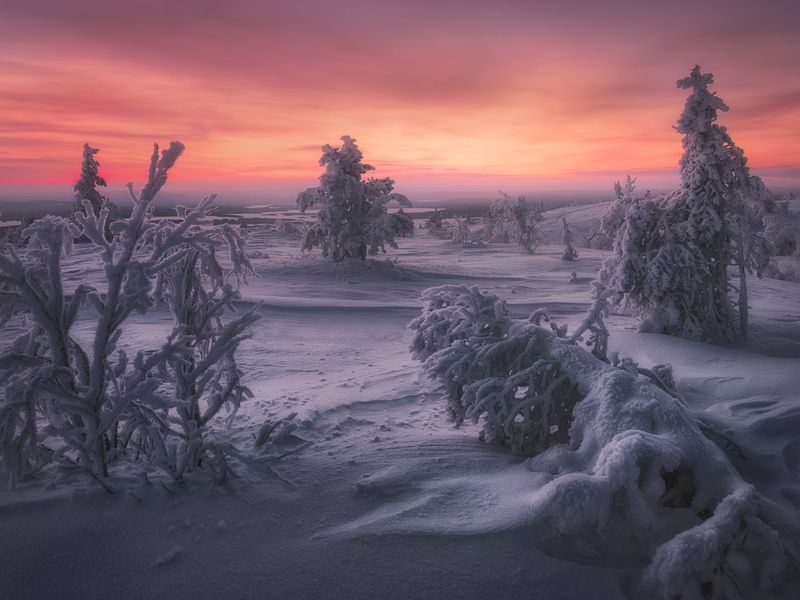 Длинные вечерние сумерки на Волосяной сопкеphoto preview