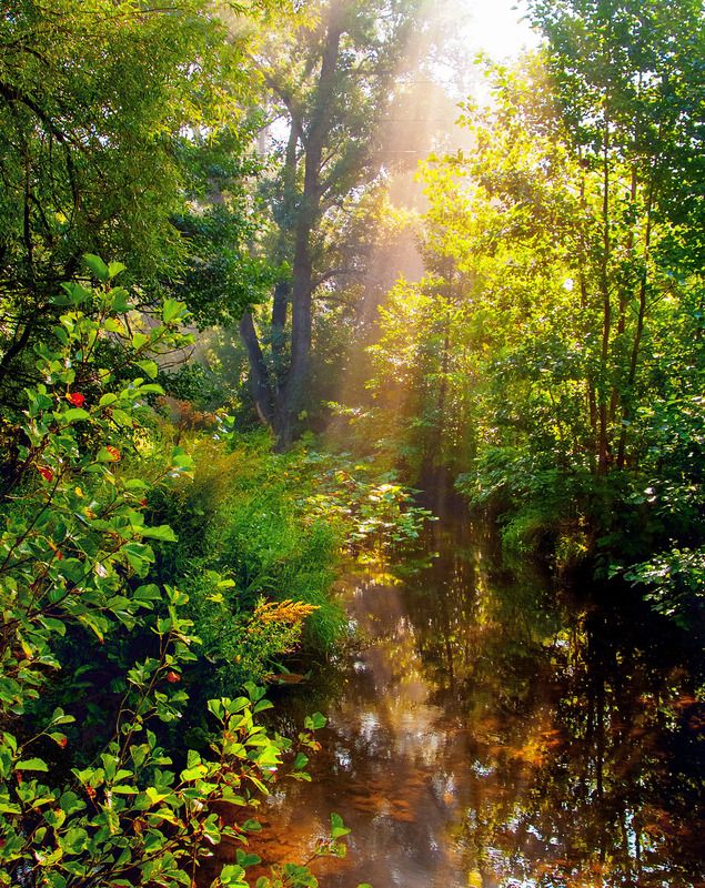 colorimpressionphoto preview