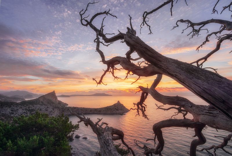 На зареphoto preview