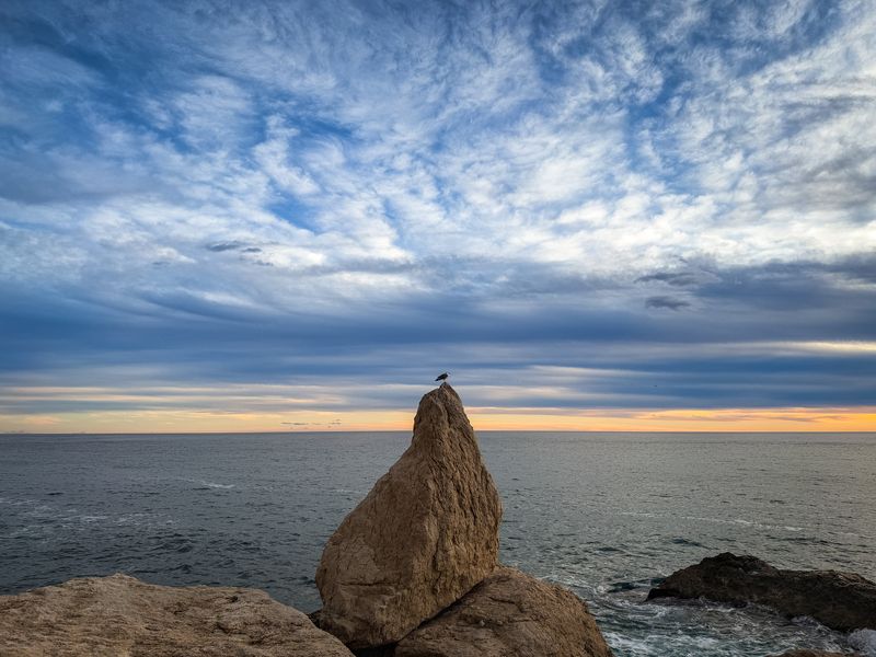 Одиночествоphoto preview