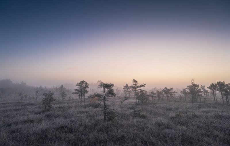 Скоро рассветphoto preview