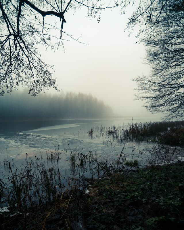 Пейзаж, туман, зима, лед, природа, атмосфера, мистика Туманный день на берегу замёрзшей реки (3)photo preview