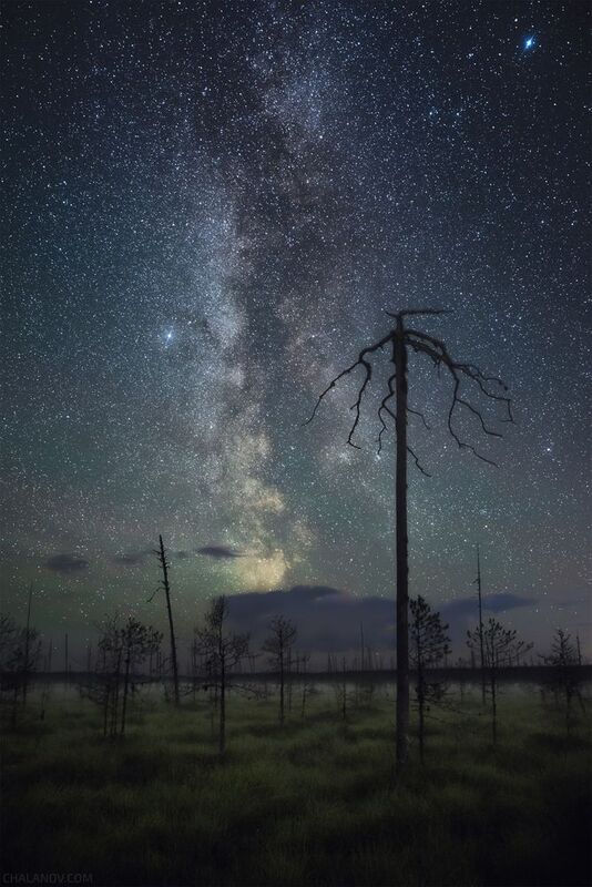 пейзаж, ночь, звезды, млечный путь, ночной пейзаж, болото, сосны, туман, облака Млечный путь над осенним болотомphoto preview