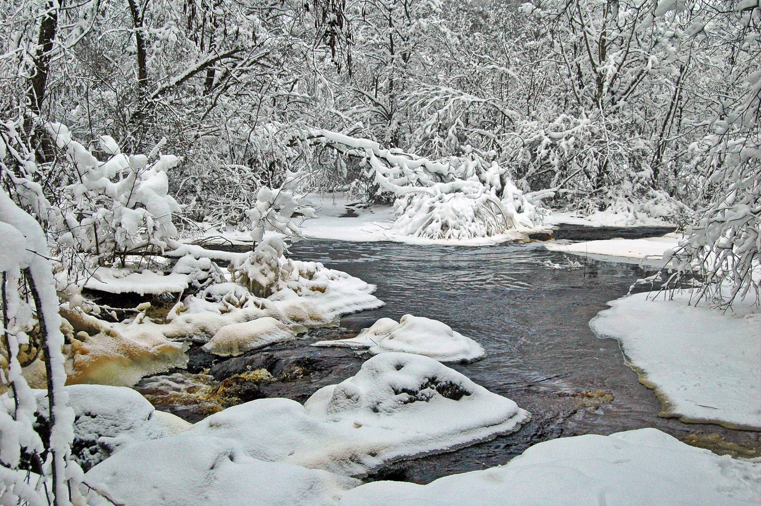 , Николаев Владимир