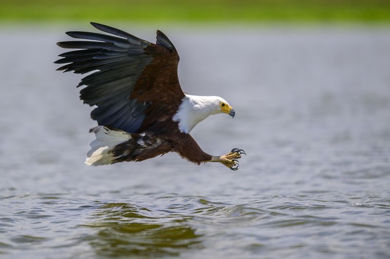 Атакаphoto preview