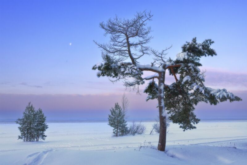 Сестрорецкий берег Финского заливаphoto preview