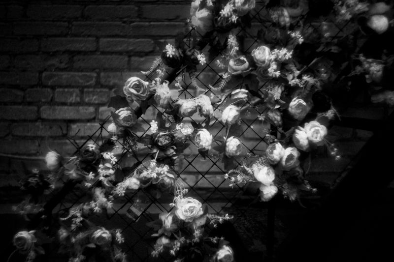 street, street photography, streetphotography, bw, black and white, russia, msocow, vintage lenses Moscow, November 2024photo preview