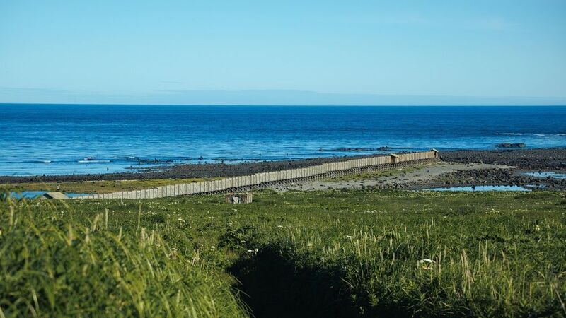 командоры, острова, никольское, камчатка, остров беринга, мыс юшина, северное лежбище Эстакада на мысе Юшинаphoto preview