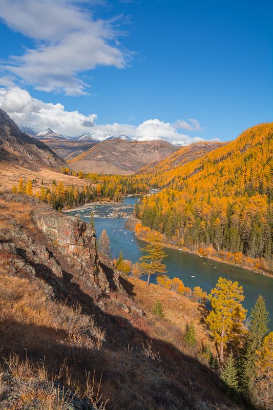 россия, горный алтай, река, осень ***photo preview