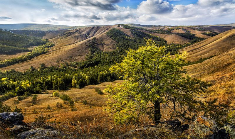 хр. Нуралиphoto preview