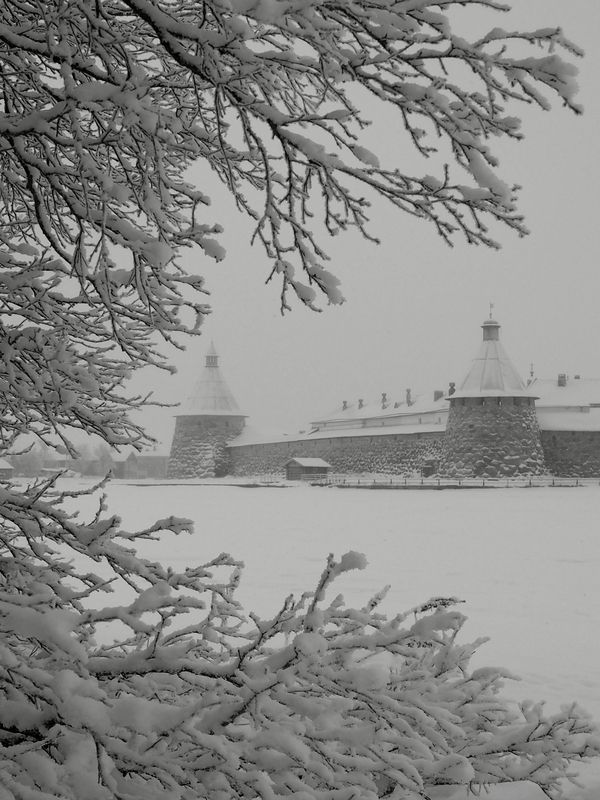 Заметает... фото превью