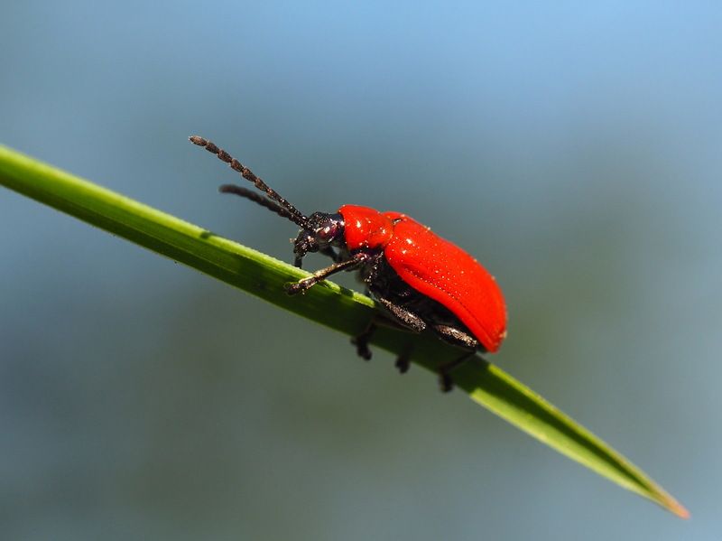 Движение вверхphoto preview