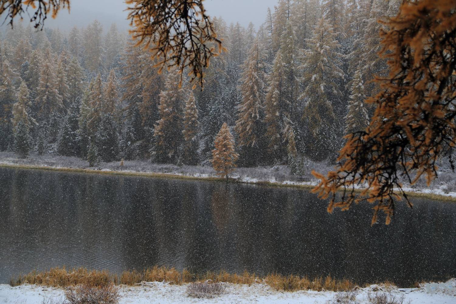 , Евгений Зинов