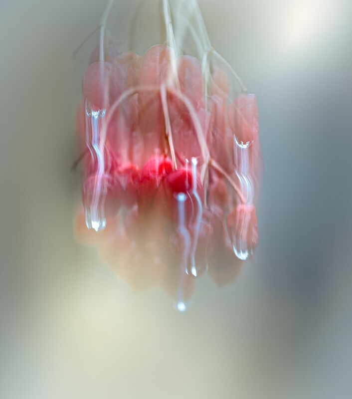 icm Бриллиантовый дымphoto preview