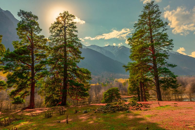 Ущелье Аксаут.КЧР.photo preview