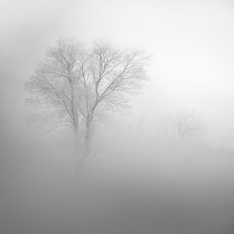 зимний пейзаж, пейзаж, зима, рассвет, курган, зауралье, природа урала, урал, орловское водохранилище, орлово, курган photo preview