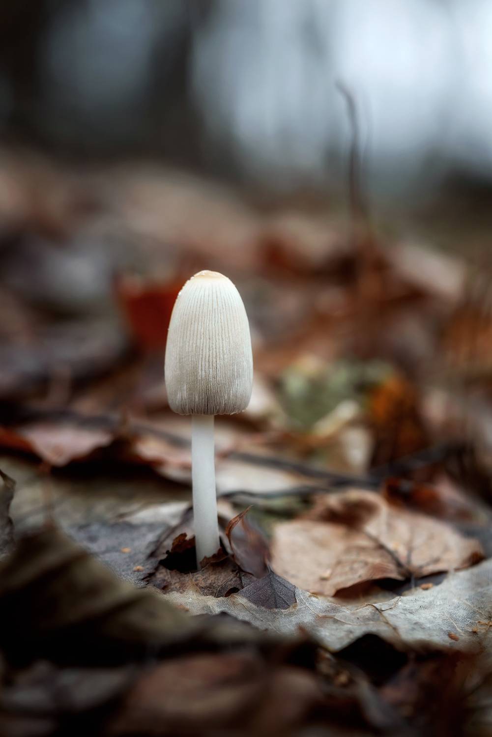 , Завьялова Людмила!