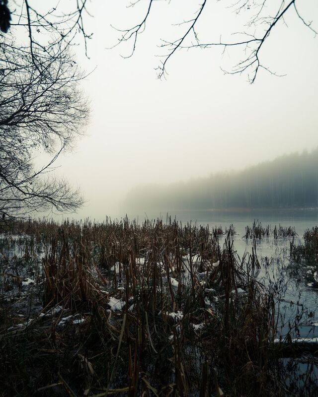 Пейзаж, туман, зима, лед, природа, атмосфера, мистика Туманный день на берегу замёрзшей реки (4)photo preview