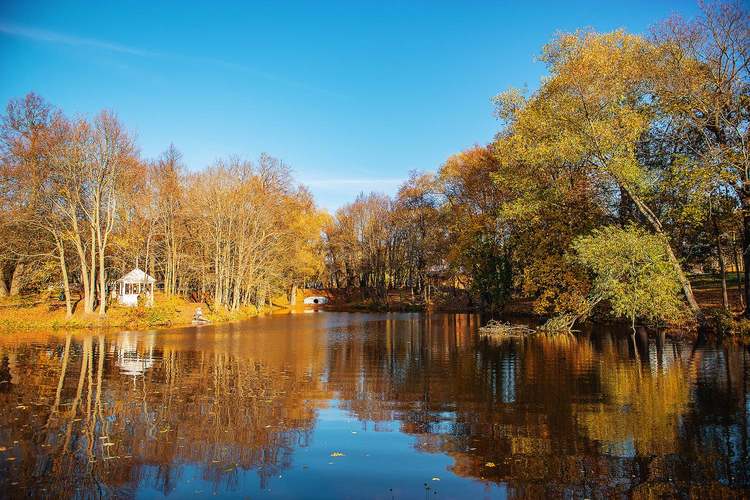 природа, осень, болдино, Mari Sabelle