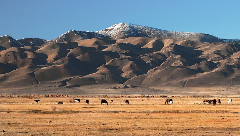 Горное пасбищеphoto preview